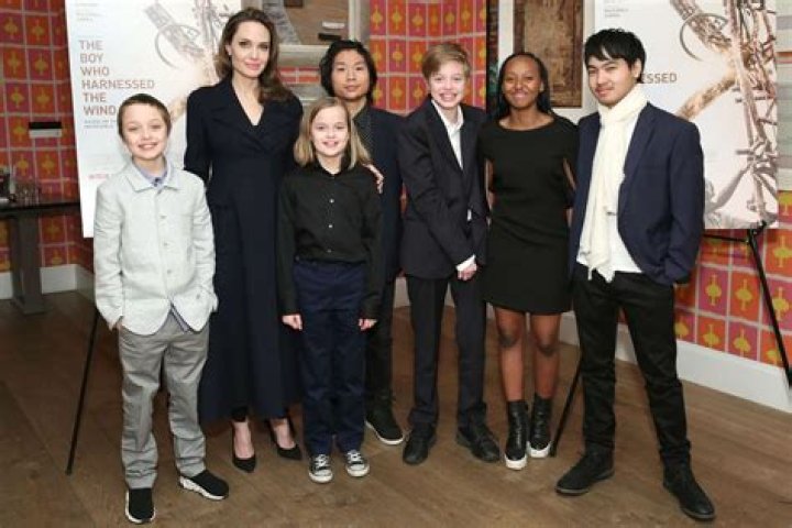 Angelina Jolie & Brad Pitt's Kids: Knox Leon & More