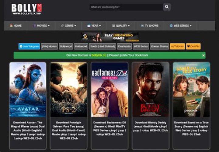 BollyFlix: Your Ultimate Guide to Streaming Bollywood Movies