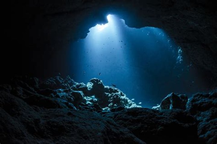 Captivating Journey Into: Exploring the Depths of Adventure and Discovery