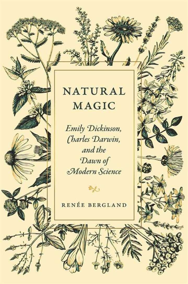Discover the Magic of Maple Star: Your Guide to Nature's Sweet Secret