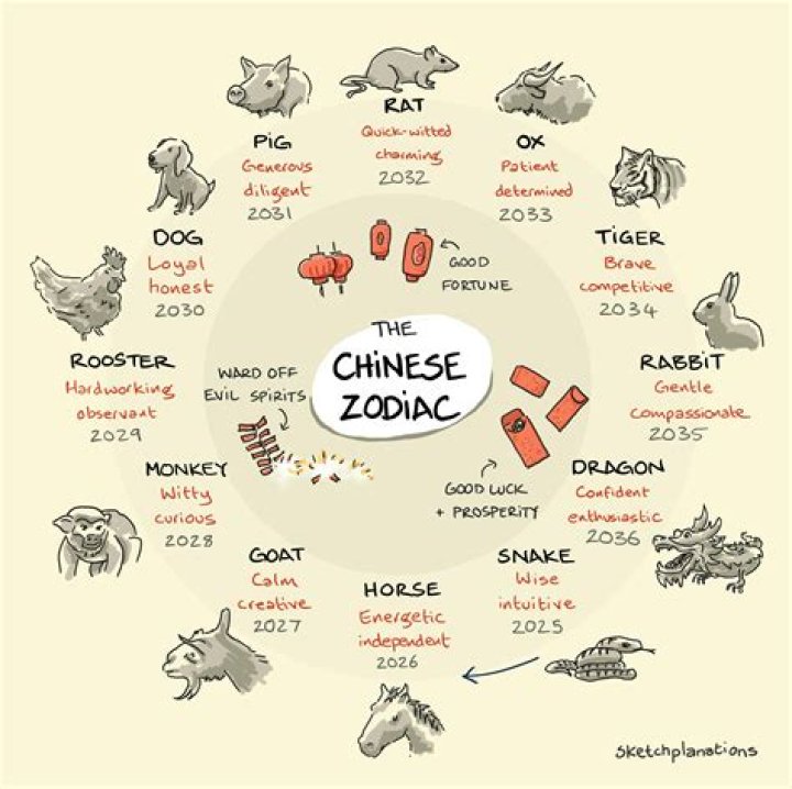 Discover the Mystical Significance of the Chinese Animal 1991: Insights and Meanings