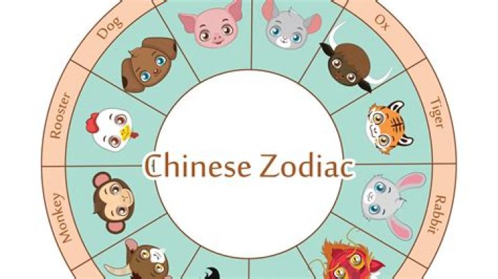 Discover the Secrets of Chinese Zodiac Year 1991: Insights and Meanings