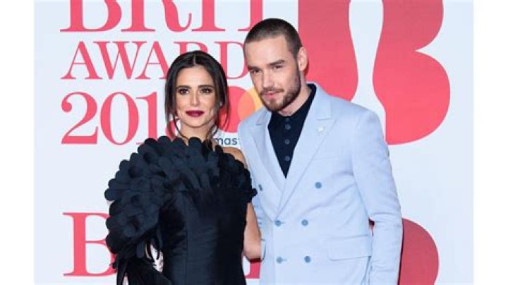 Liam Payne & Sheryl Crow: Duet Rumors & Music News