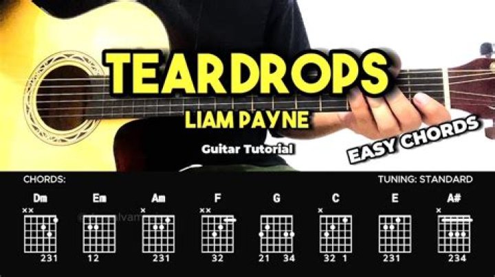 Liam Payne - Teardrops Chords & Lyrics | Easy Guitar Tabs