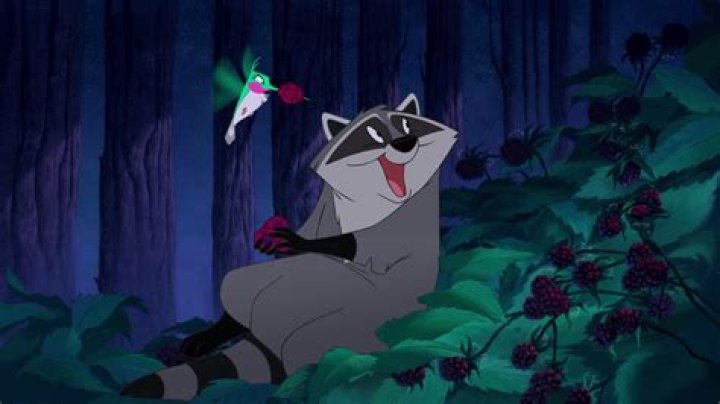 Racoon Pocahontas: Unveiling the Mysteries of a Unique Wildlife Icon