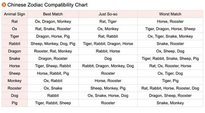 Tiger and Snake Friendship Compatibility: Exploring the Unlikely Bond