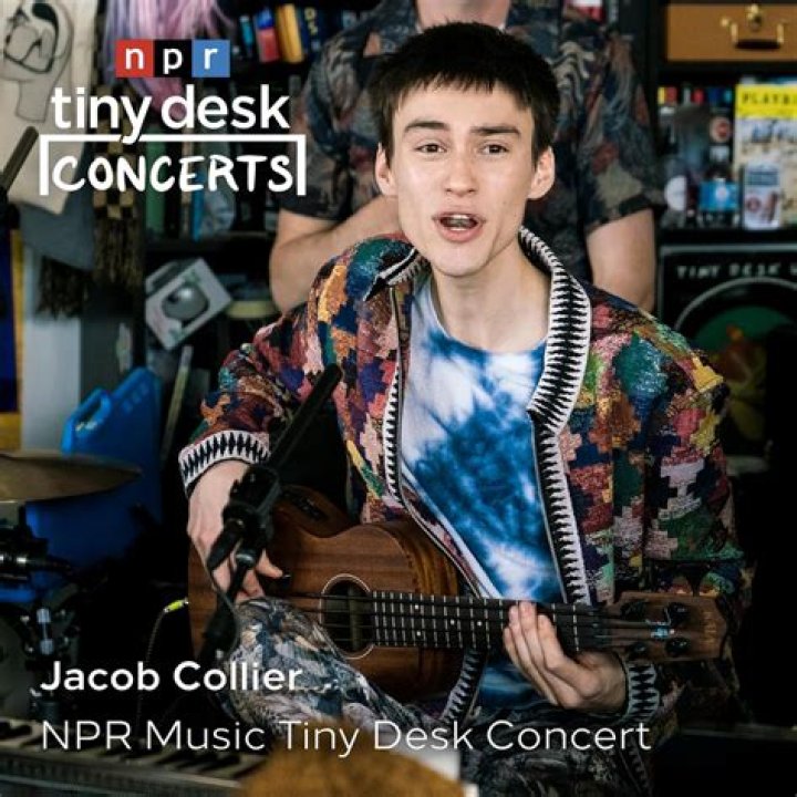 Top Jacob Collier Partners for Your Project