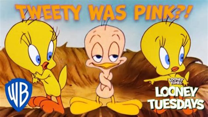 Tweety Lau: The Rising Star of the Digital Era
