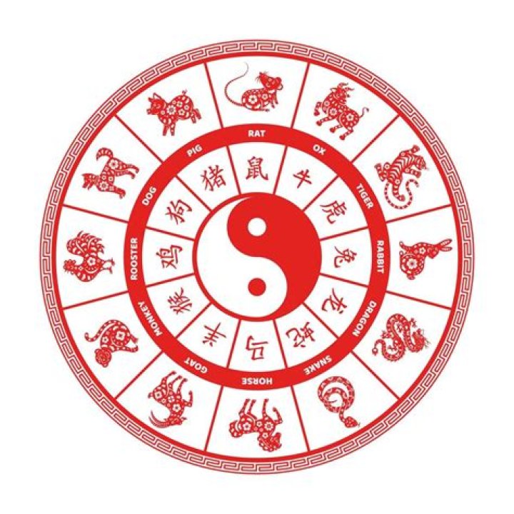 Unveiling the Mysteries of Chinese Astrology 1991: Insights, Predictions, and More