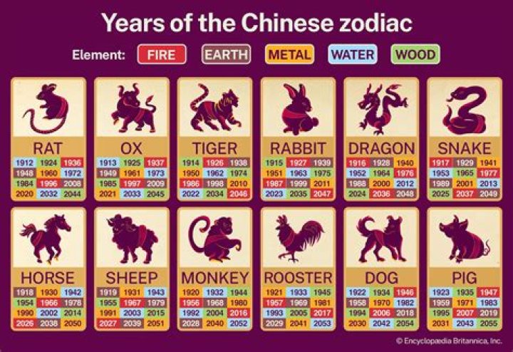 Unveiling the Mysteries of the 1991 Chinese Zodiac: Insights and Predictions
