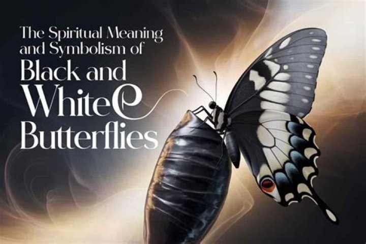 Unveiling the Profound Meaning of Black Eye Symbolism