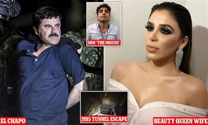 Unveiling the Secrets Behind El Chapo's Net Worth: A Deep Dive into His Empire